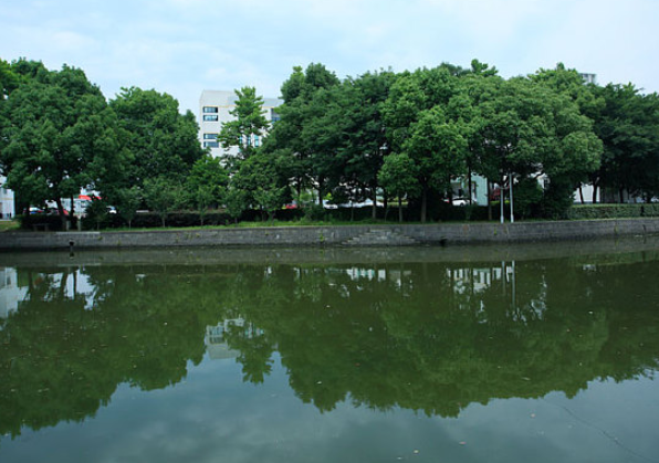 四川省大英中学校园风景